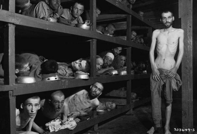 Concentration Camp