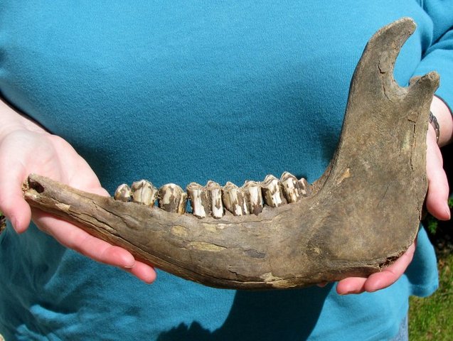 Pre 1500 : Nebraska's Ice Age