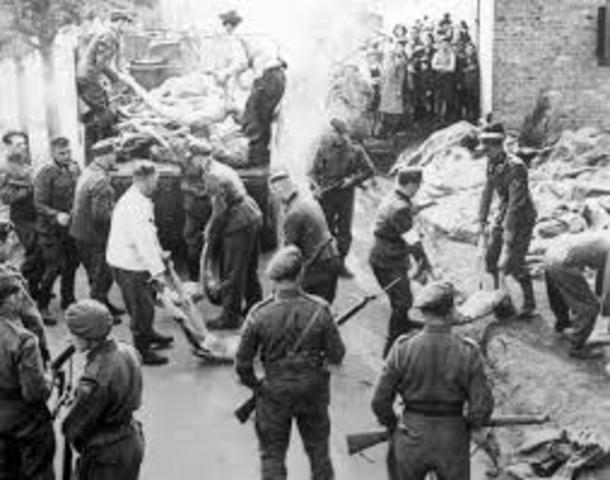 nazis developed the fincal solution