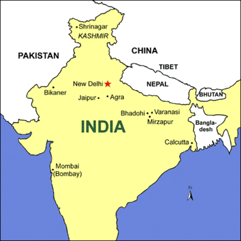 Muslim Turks and Afghans pushed into India