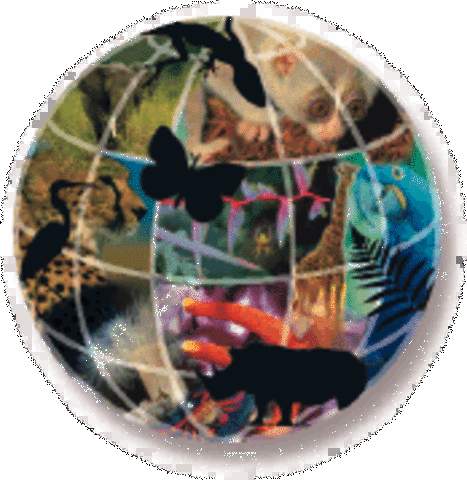 Convenio sobre la Diversidad Biologica (CDB)