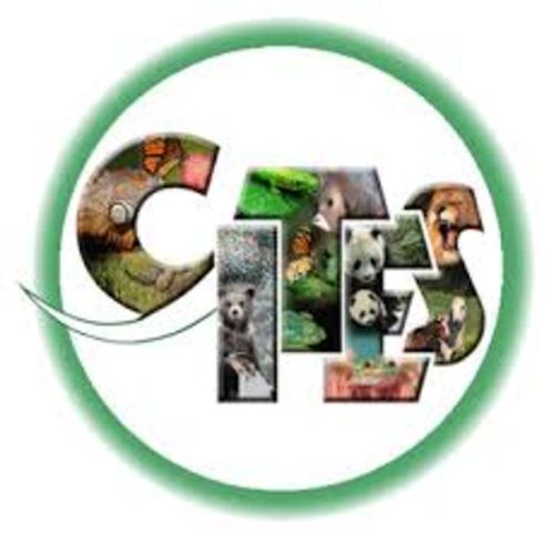 Convención sobre el Comercio Internacional de Especies Amenazadas de Fauna y Flora Silvestres