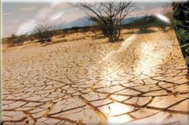 La Conferencia de las Naciones Unidas sobre Desertificación Nairobi (Kenia)