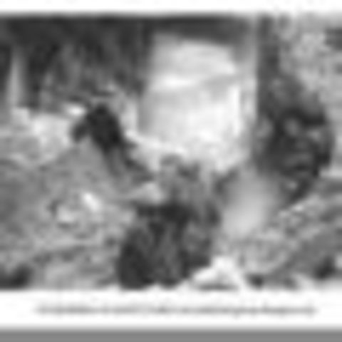 Battle of Stalingrad