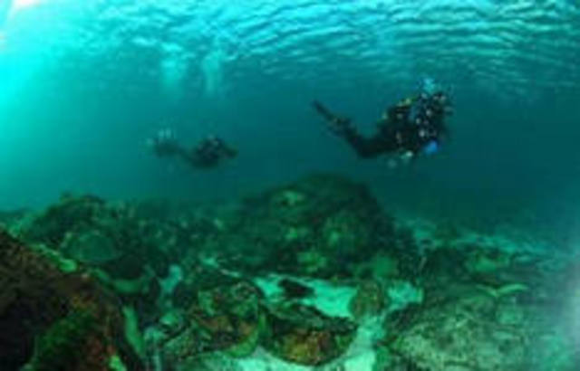 Международный проект исследования