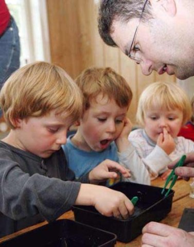 Laboriosidad  vs inferioridad