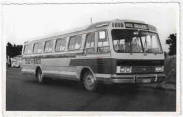 onibus 4- transporte