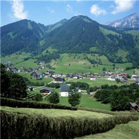 Greman troops march into austria