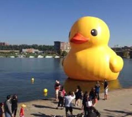 Rubber Duck