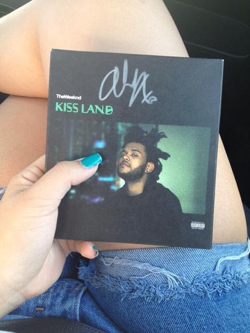 Fui a mi concierto artista favorito