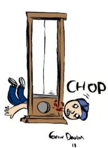 The Declaration of the Rights of Man and the Citizen