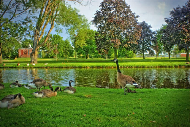 Park for the first time