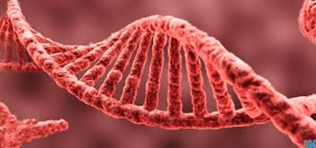 Discovery of Moleculer Model of DNA