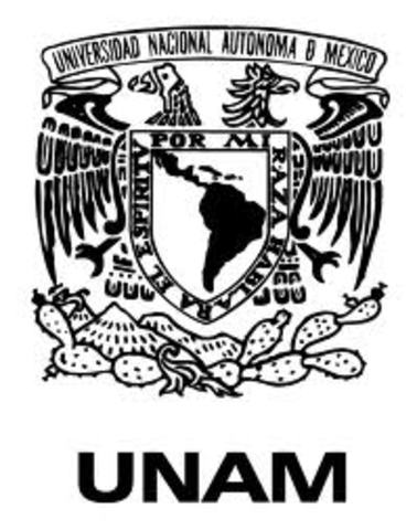 UNAM y Francia