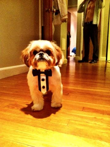 Tanya and John had a puppy!