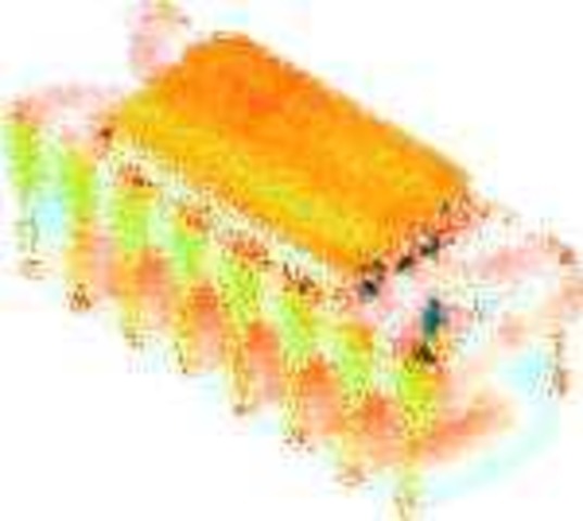 the microprocessor chip