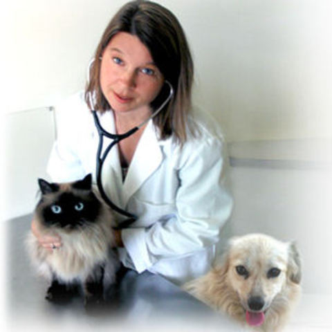 Veterinarian