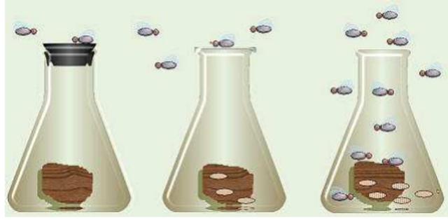 Spontaneous generation
