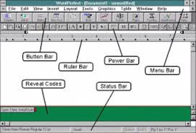 Seymour Rubenstein and Rob Barnaby created the first commercially successful word processing software for a computer.