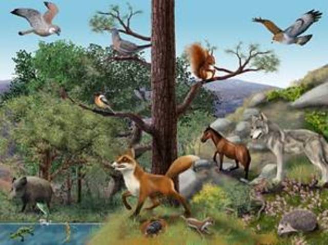 Comunidad Biotica,  Art. 1 de John Phillips