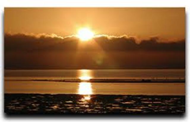 Going to Florida for the First Time