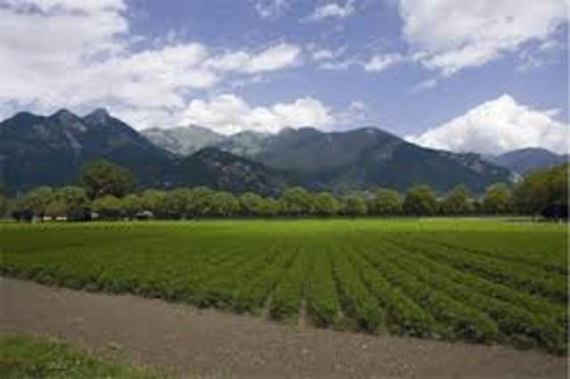 Rodrico and his allies decide to conquer more land