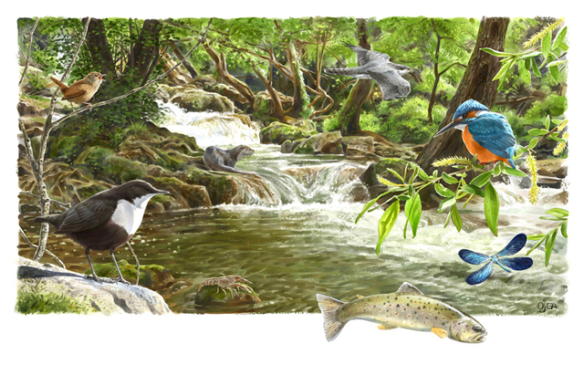 Critica del concepto de Ecosistema