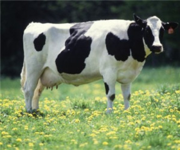 The Samuel Commission in England Releases Its Report on Coal Mining