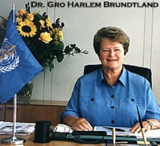 INFORME DE BRUNDTLAND