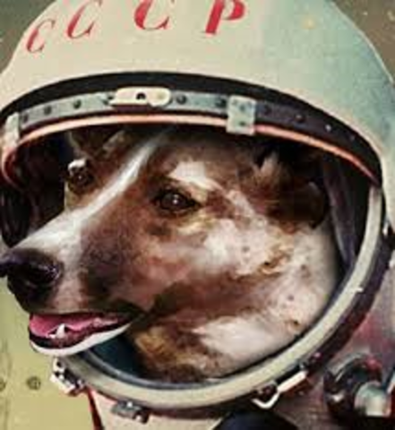Laika Becomes First Living Animal to Enter Orbit