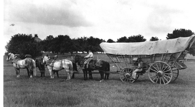 Conestoga Wagons