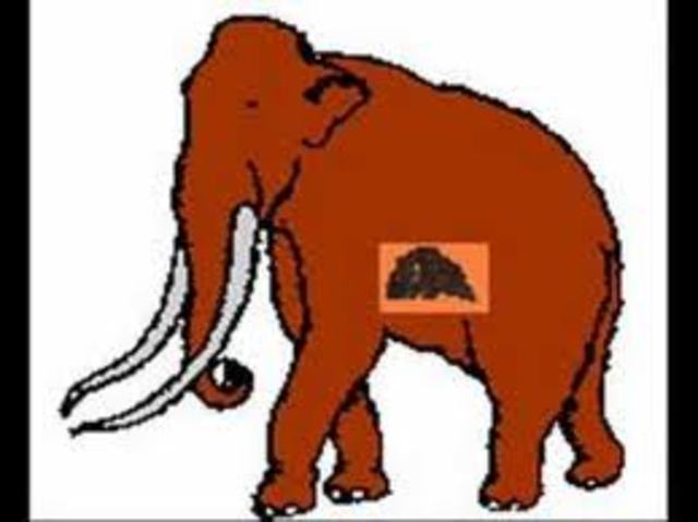 lo mismo mas el mamut chiquitito