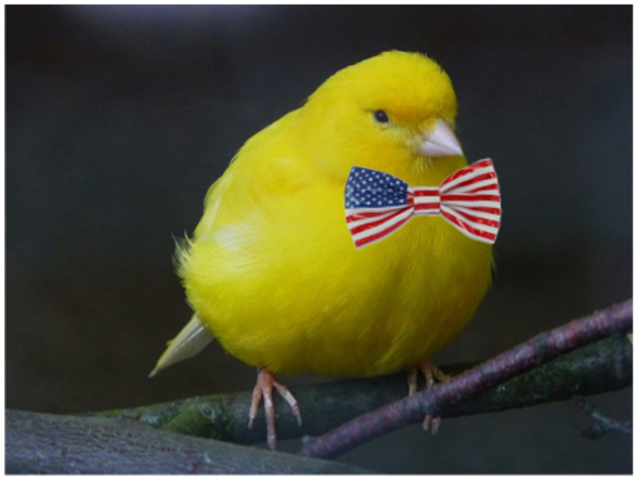 John Tyler comes into presidency