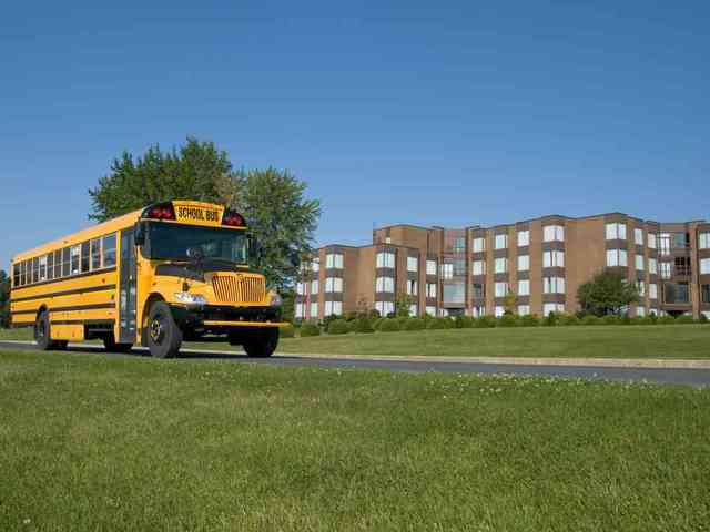 Started Going To Public Schools