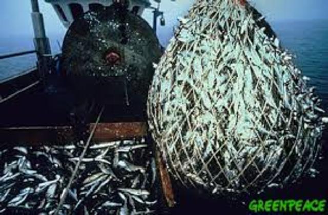 Plantamiento de problemas de sobreexplotacion pesquera