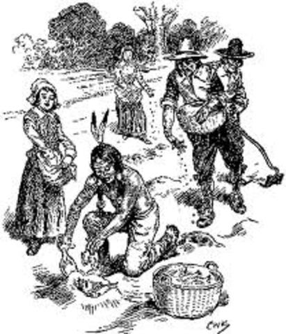 Growing Crops with Squanto