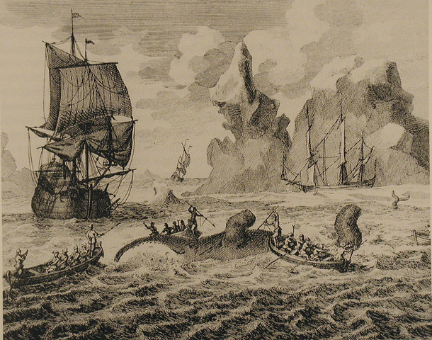Basque whalers began fishing off the coast of Labrador