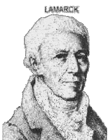 Lamarck theory of evolution