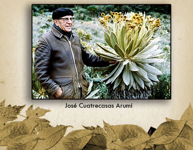 Cuatrecasas pionero de descripciond e vegetales.