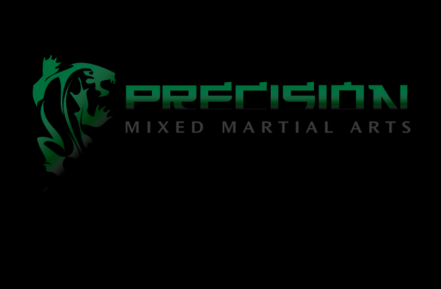 I Started Working at Precision MMA
