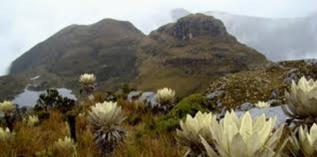 Ecosistemas no boscosos