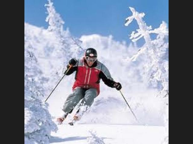 DEPORTES DE INVIERNO