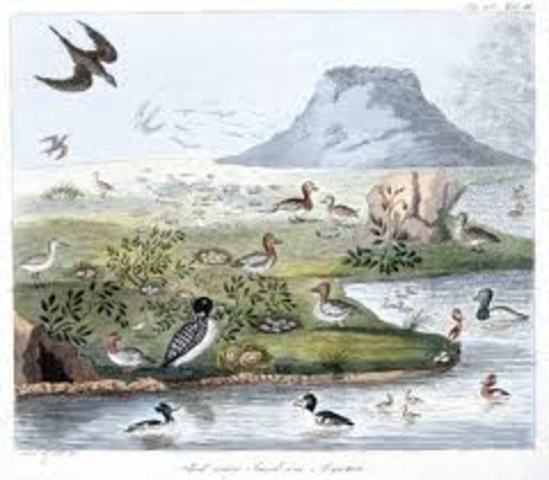 Thienemann  y sus Colegas