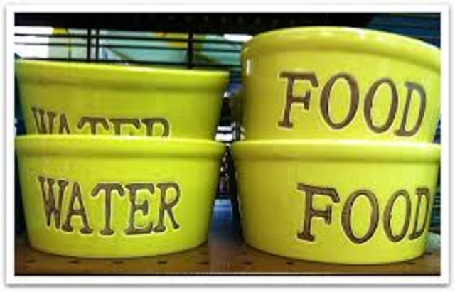 Receive food and water from Earth