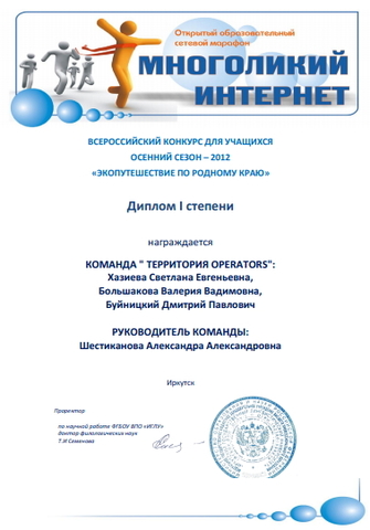 Многоликий интернет 2012