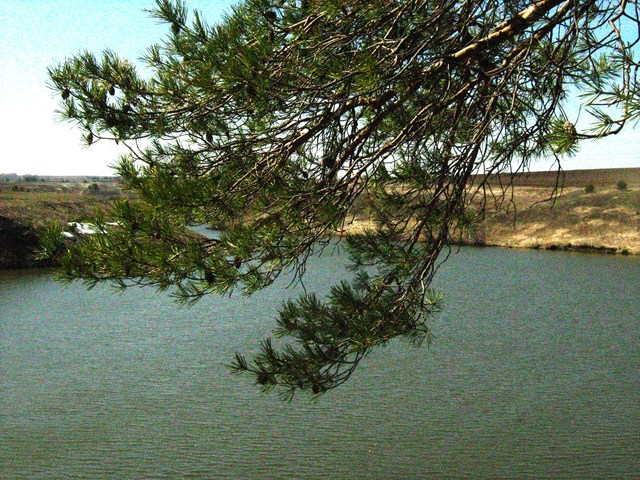 Экскурсия на пруд