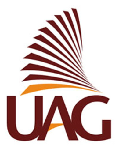 Inicio de la Licenciatura