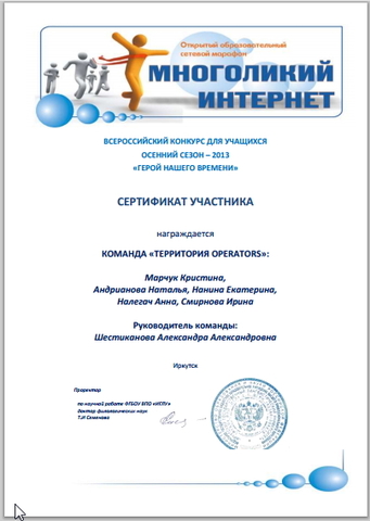 Многоликий интернет 2013