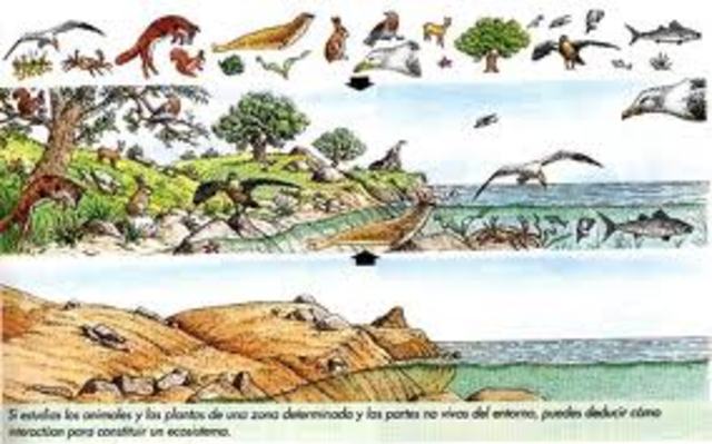 THIENEMMANN BIOCENOSIS