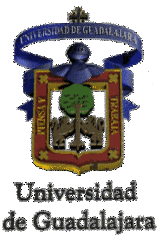 Diplomado Fibra Óptica